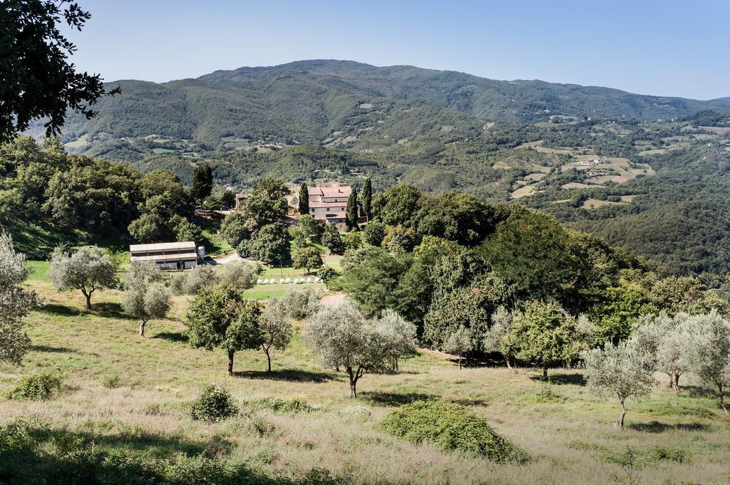 Agriturismo Di Baroni Enzo Dicomano エクステリア 写真